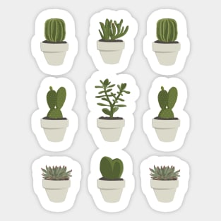 Cacti and Succulents Sticker